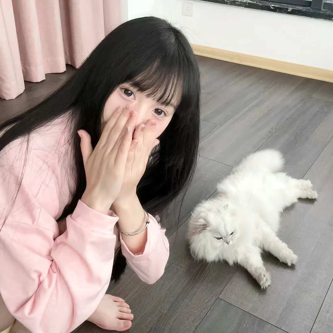 猛虎已觉醒